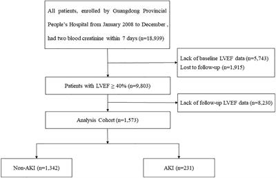 Acute Kidney Injury Increase Risk of Left Ventricular Remodeling: A Cohort of 1,573 Patients